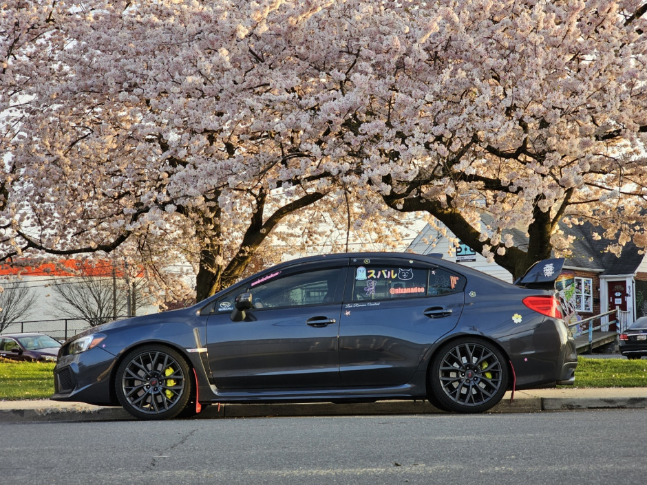 Nix Elizabeth A's 2018 Impreza WRX STI Base