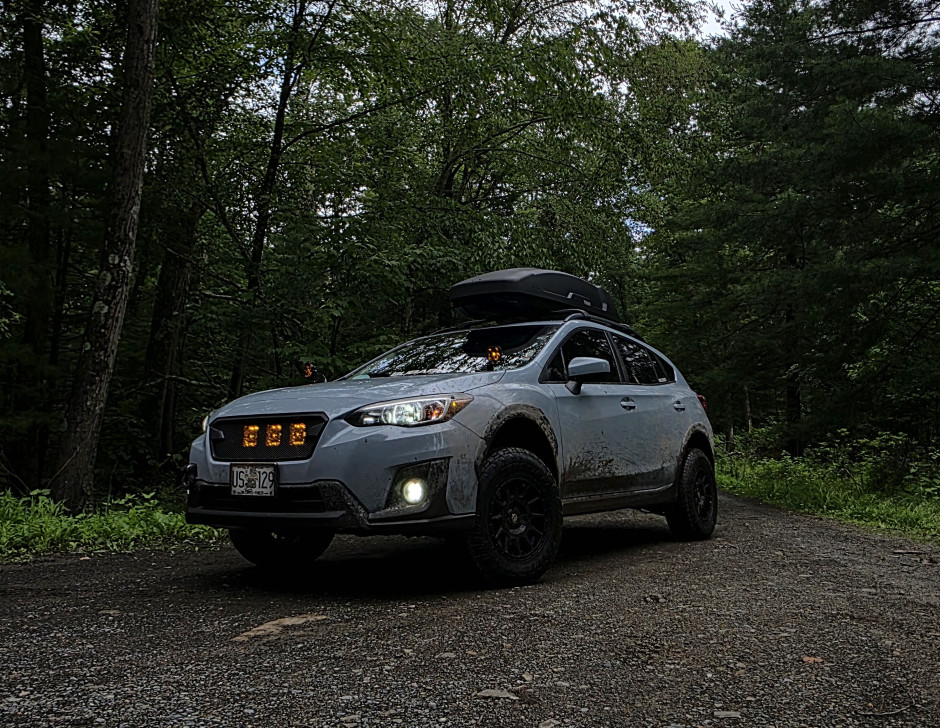 DAVID C's 2019 Crosstrek Base 2.0
