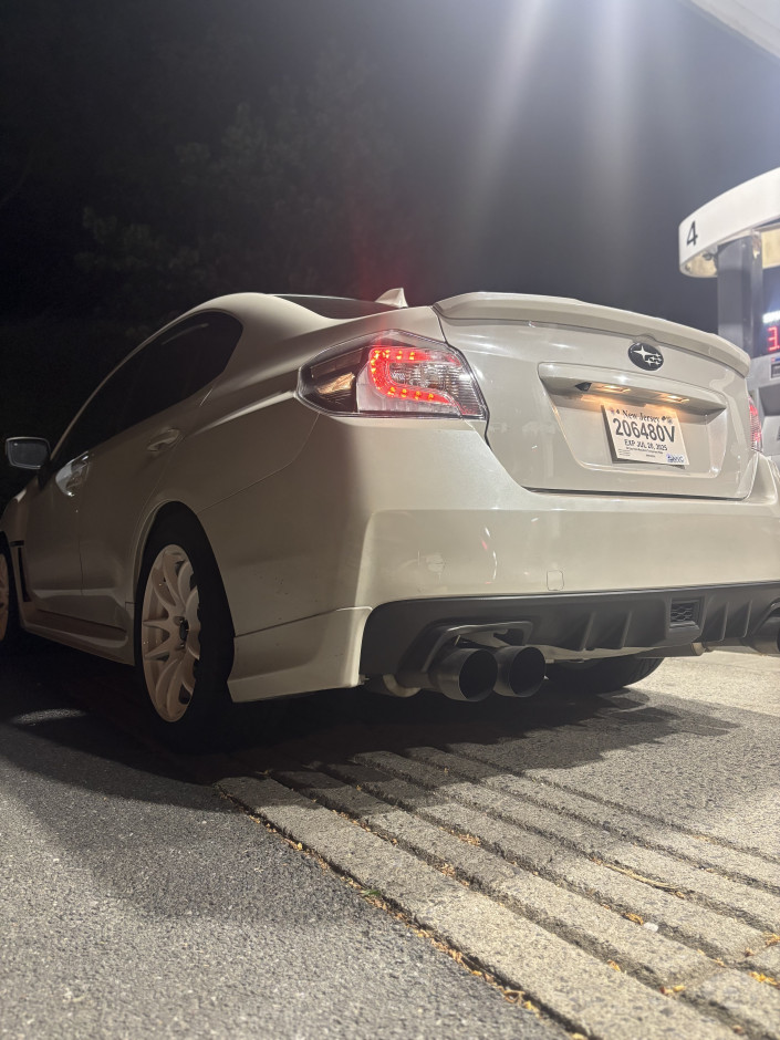 Dominic S's 2019 Other Base