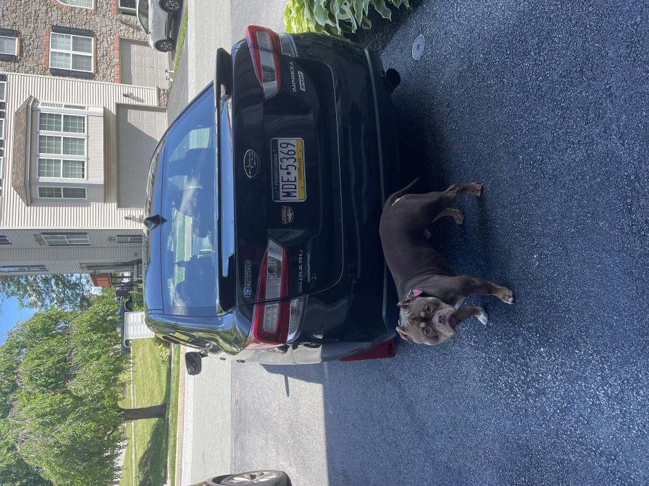 Ethan Wertz's 2017 Impreza Sport