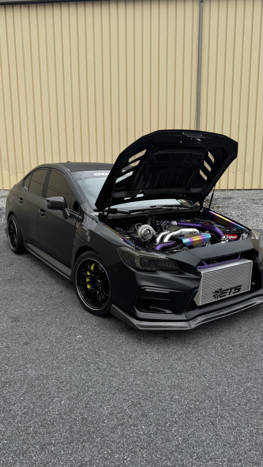 Erek Fox's 2018 WRX STI