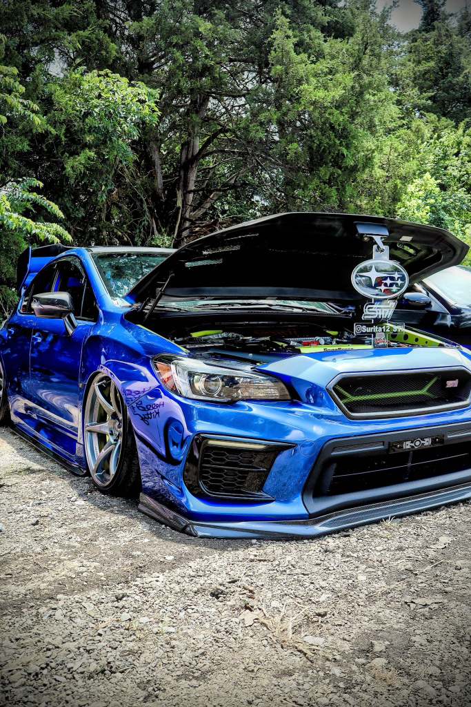 Fredy G