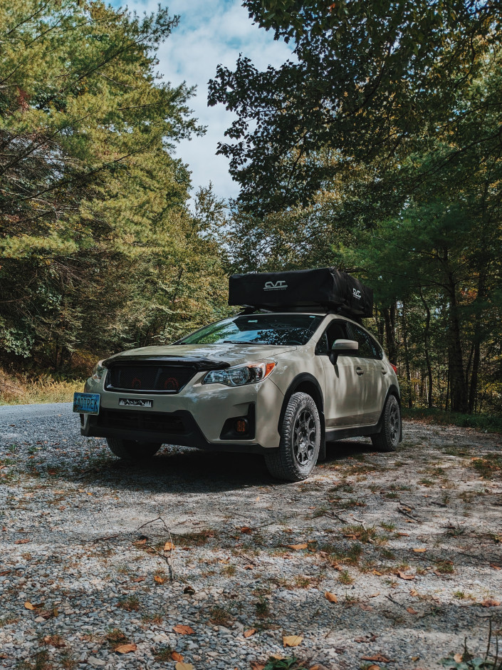 Michael M's 2017 Crosstrek Premium