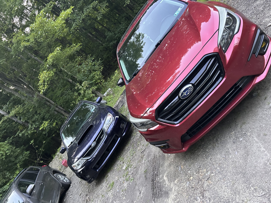 Lyra P's 2018 Legacy Sport