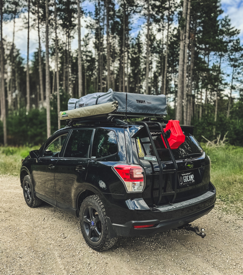 Damian S's 2018 Forester Premium 