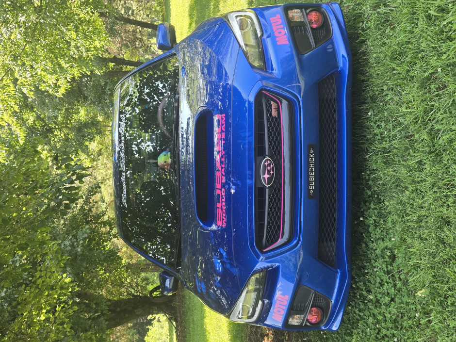 Heather S's 2017 Other STI