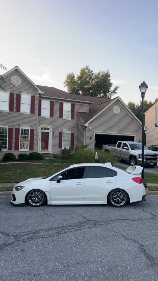 Tyler Pletcher's 2019 Impreza WRX STI Base