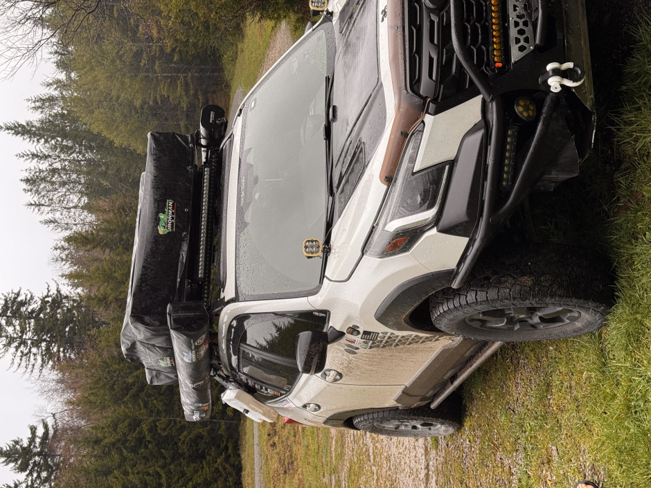 Michael  Manfro's 2022 Forester Wilderness