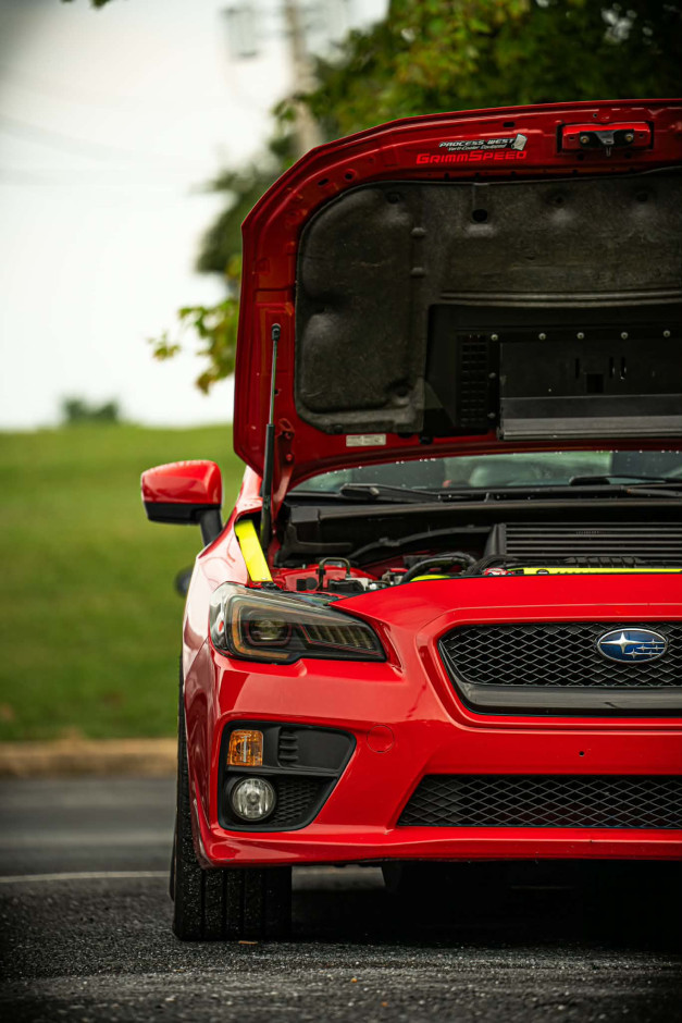 Braden  B's 2016 WRX Premium