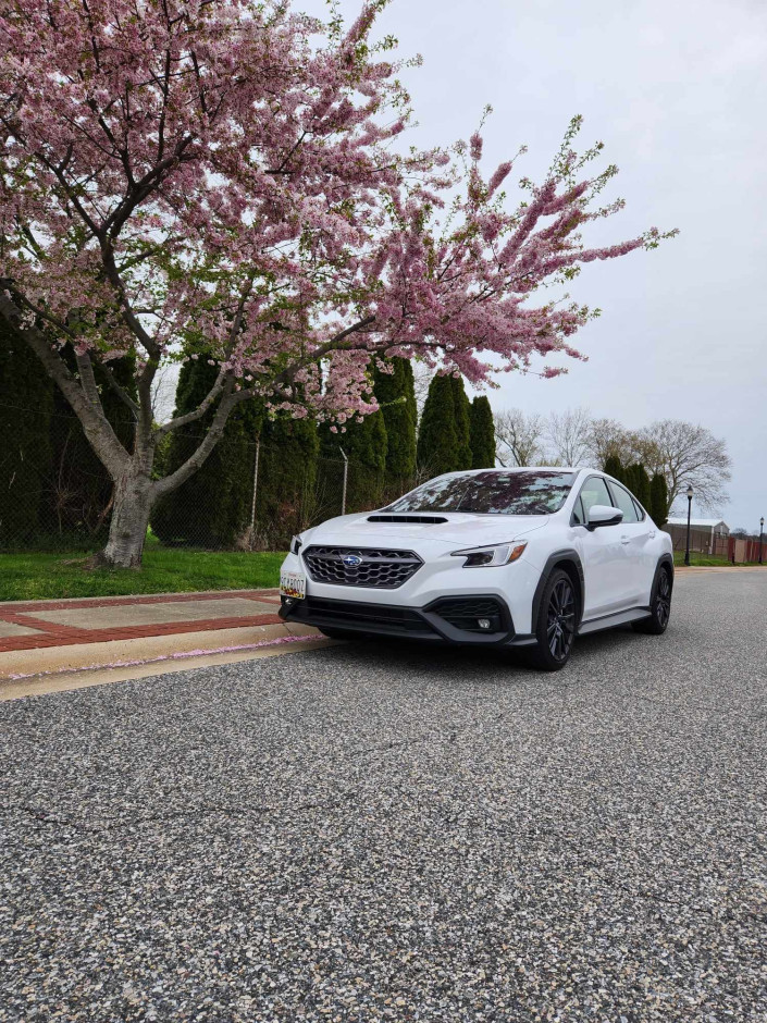 Eric H's 2022 Impreza WRX LImited