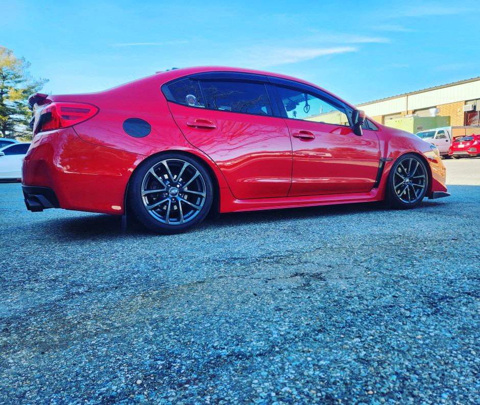 Shaylor B's 2019 Impreza WRX Premium 