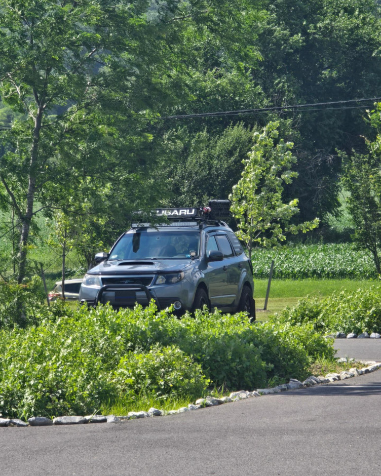 Brian Shefman's 2009 Forester Xt Limited