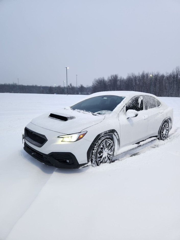 Tabitha H's 2022 Impreza WRX Limited