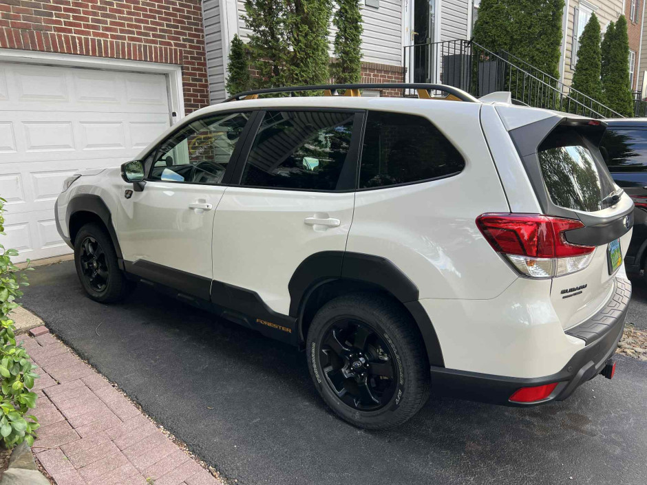 EYNER R's 2023 Forester Wilderness