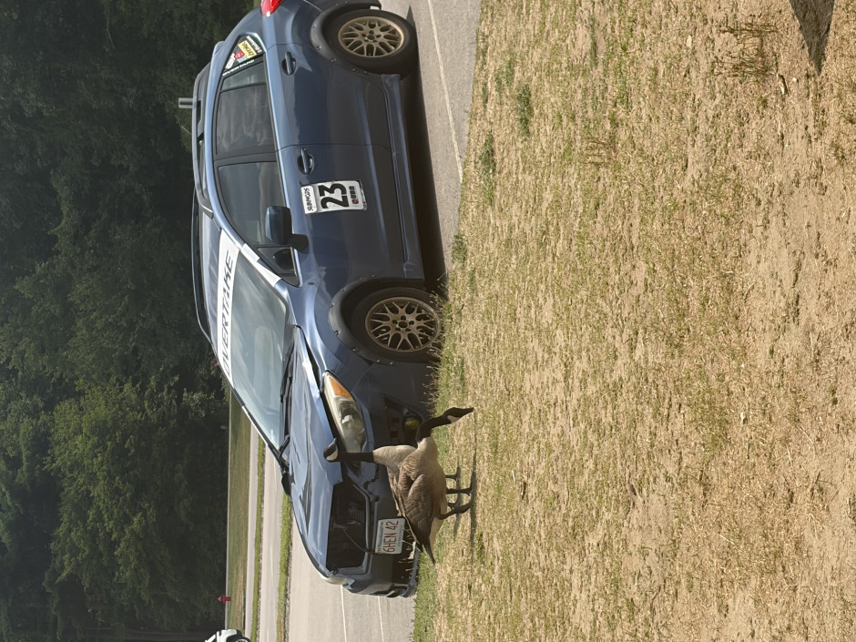 Hayleigh  L's 2012 Impreza 2.0i Sport Limited