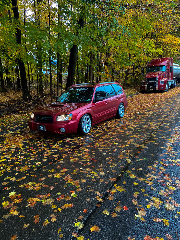 adian M's 2004 Forester 2.5 XT