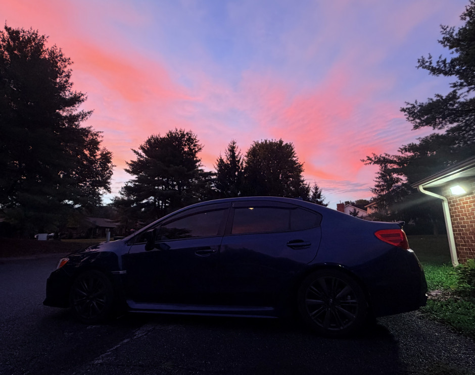 Elizabeth R's 2020 WRX Premium