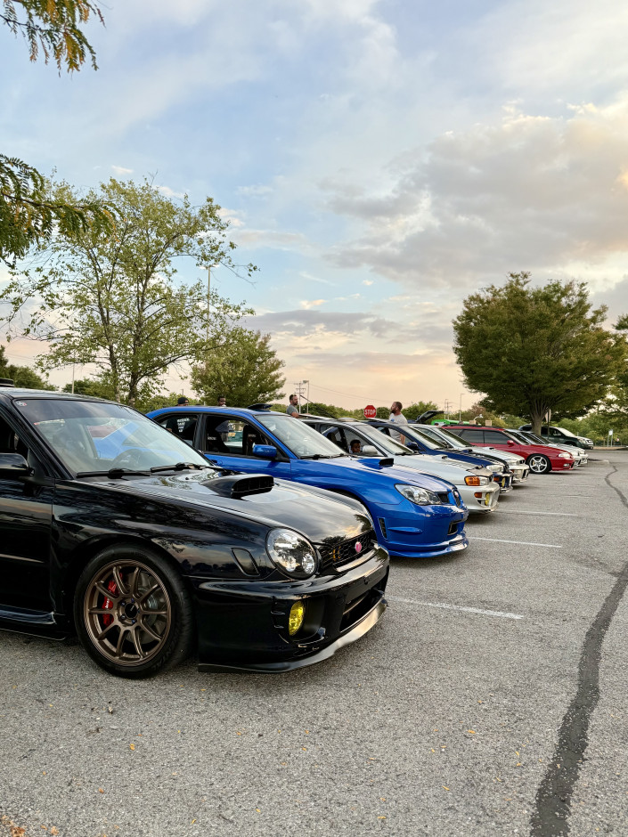 Tayla Cain's 2003 Impreza WRX WRX