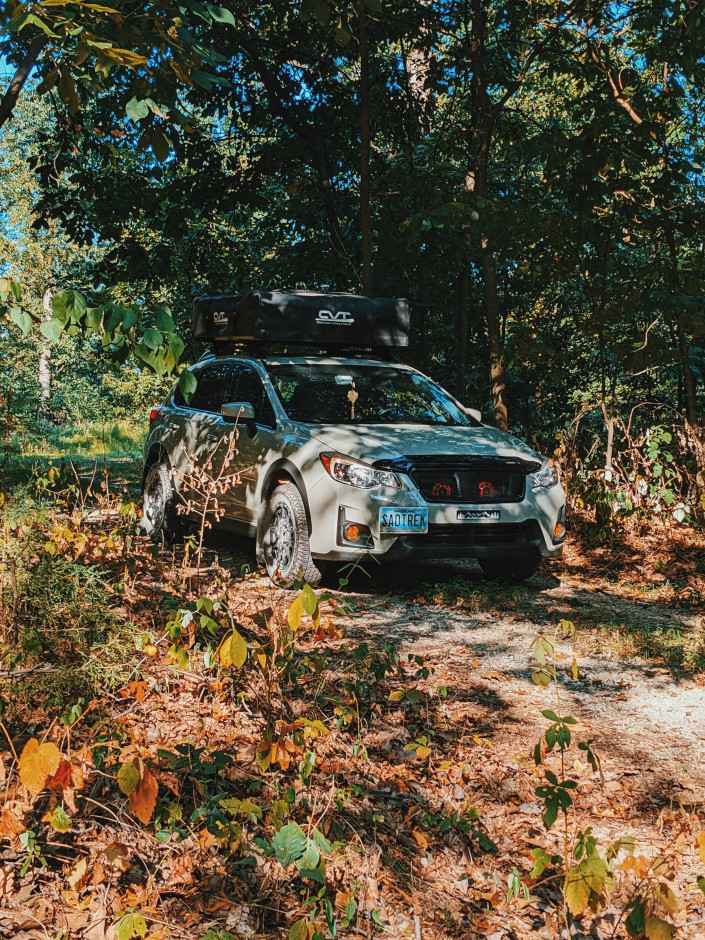 Michael M's 2017 Crosstrek Premium