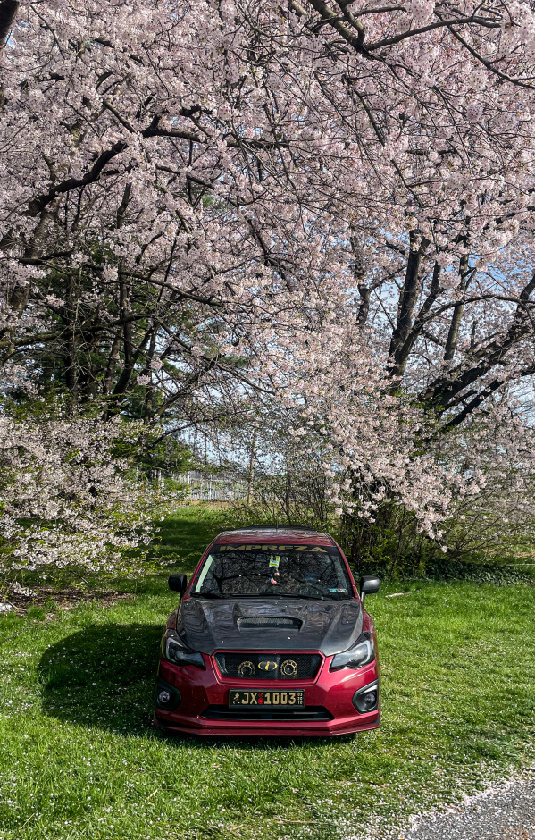 Aidan P's 2013 Impreza Base