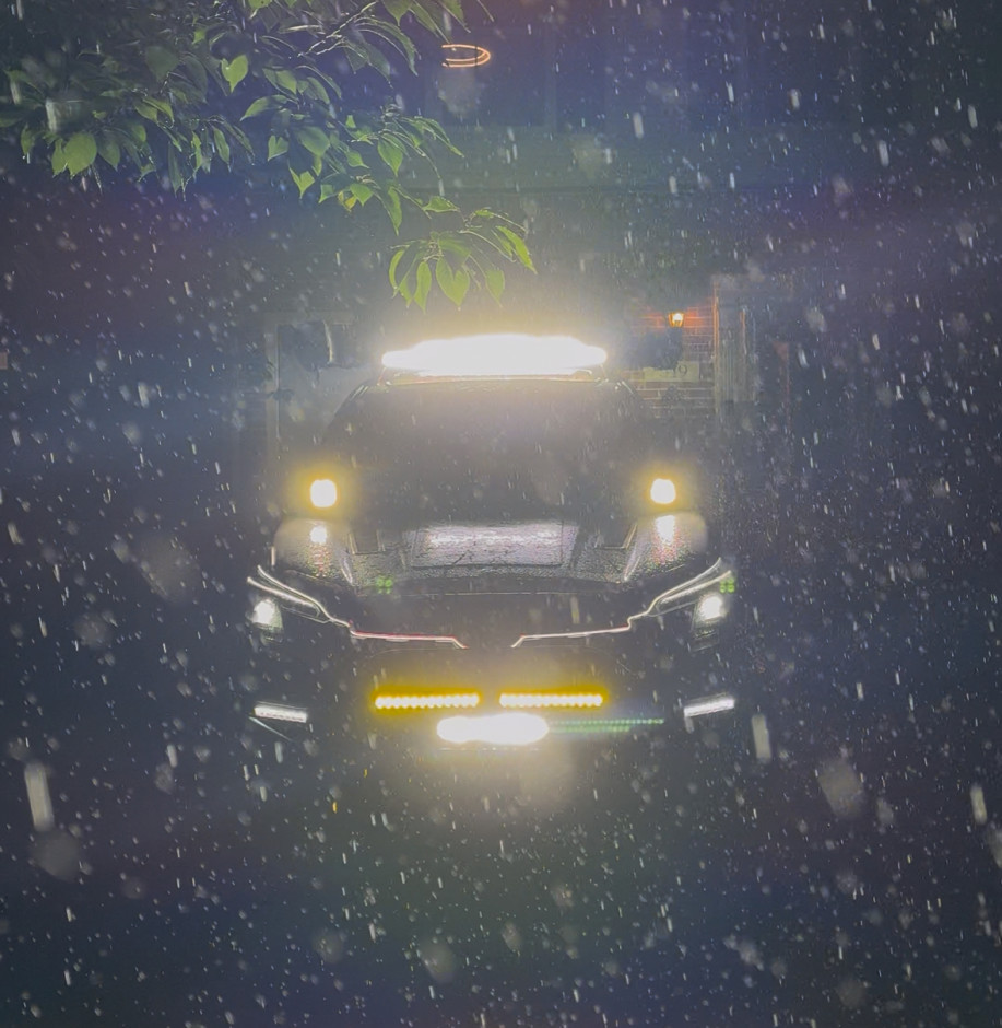 Michael  Manfro's 2022 Forester Wilderness