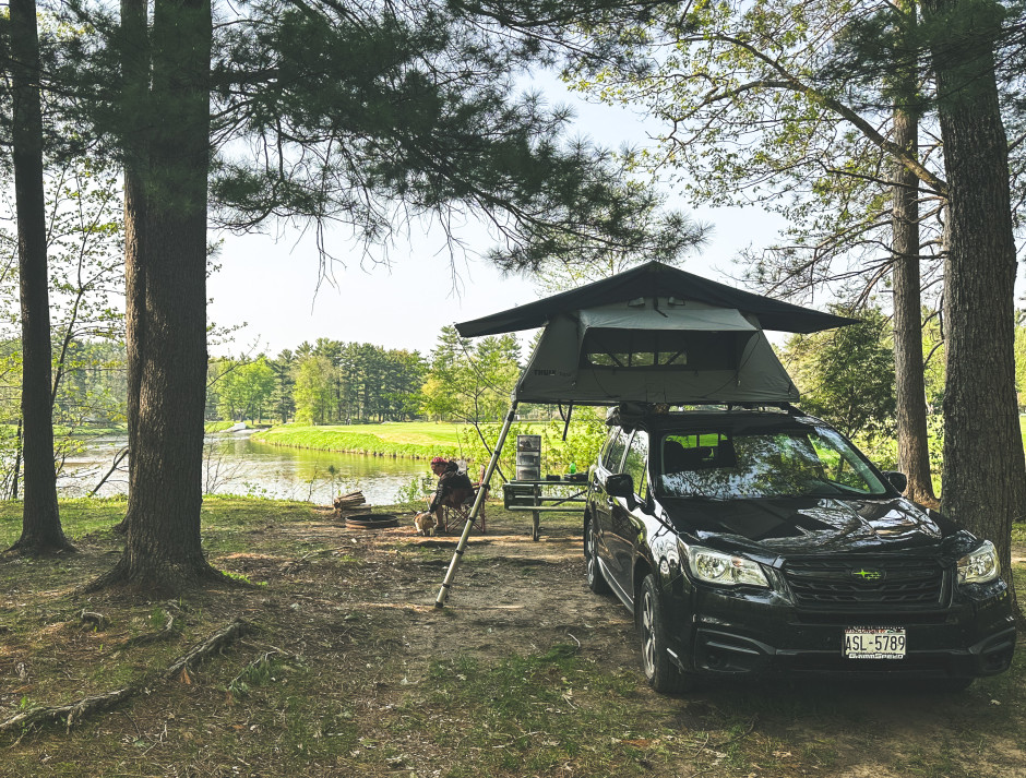 Damian S's 2018 Forester Premium 