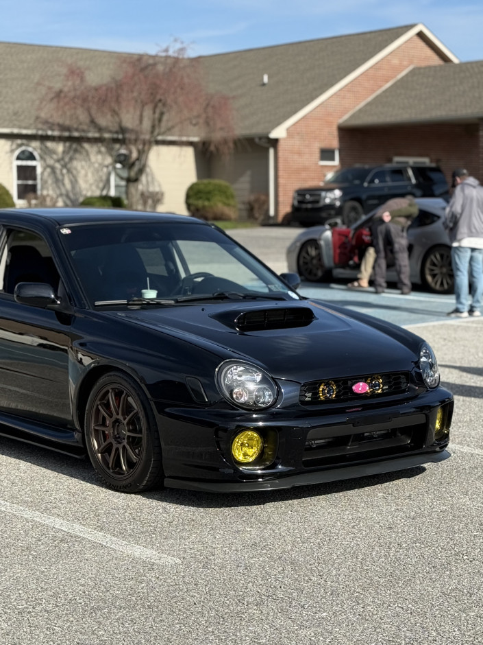 Tayla Cain's 2003 Impreza WRX WRX