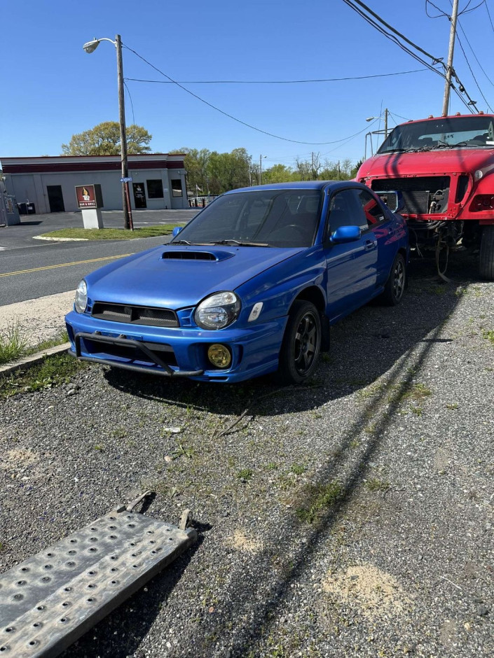 Aiyana L's 2002 Impreza WRX