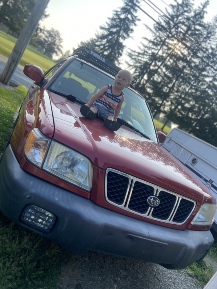 Jeffrey B's 2002 Forester S sport utility 
