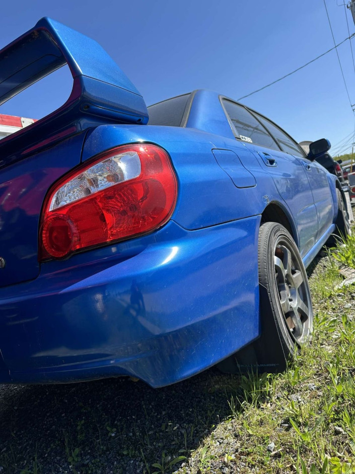 Aiyana L's 2002 Impreza WRX