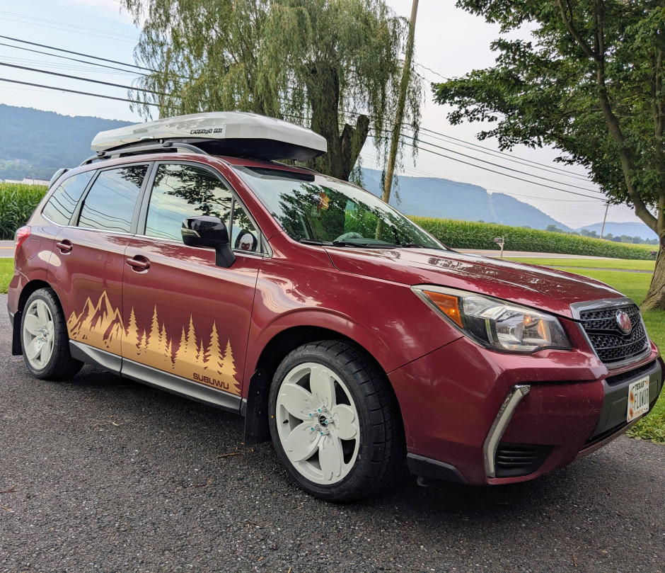 Travis W's 2014 Forester 2.0XT Premium