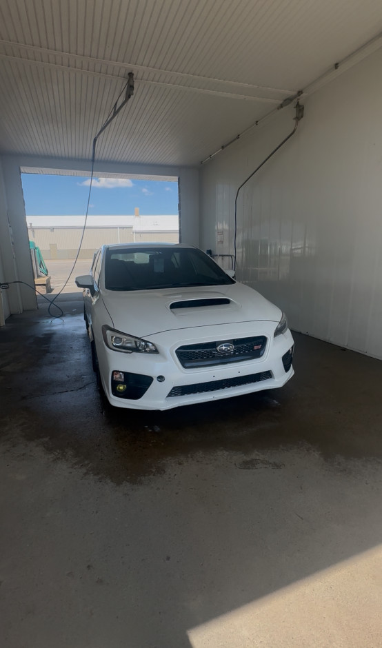 Sammie S's 2017 Impreza WRX STI 