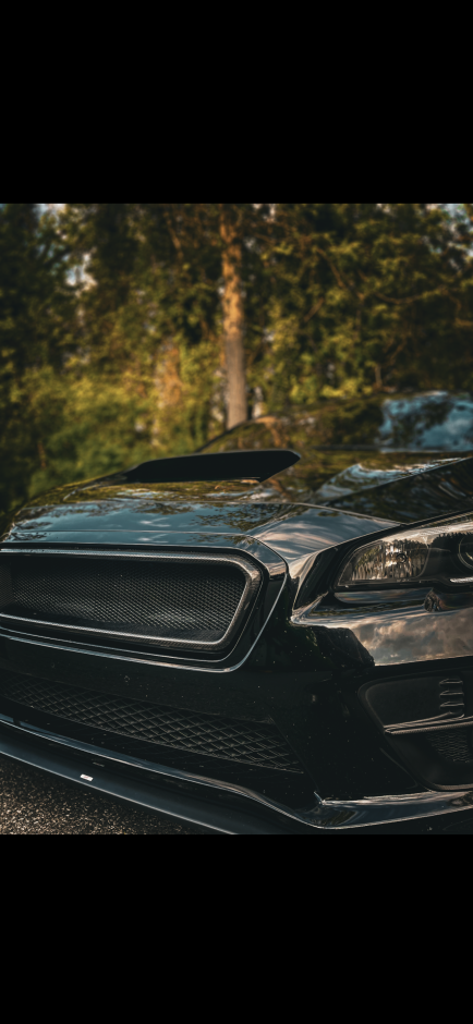 Leonardo B's 2017 Impreza WRX Premium 