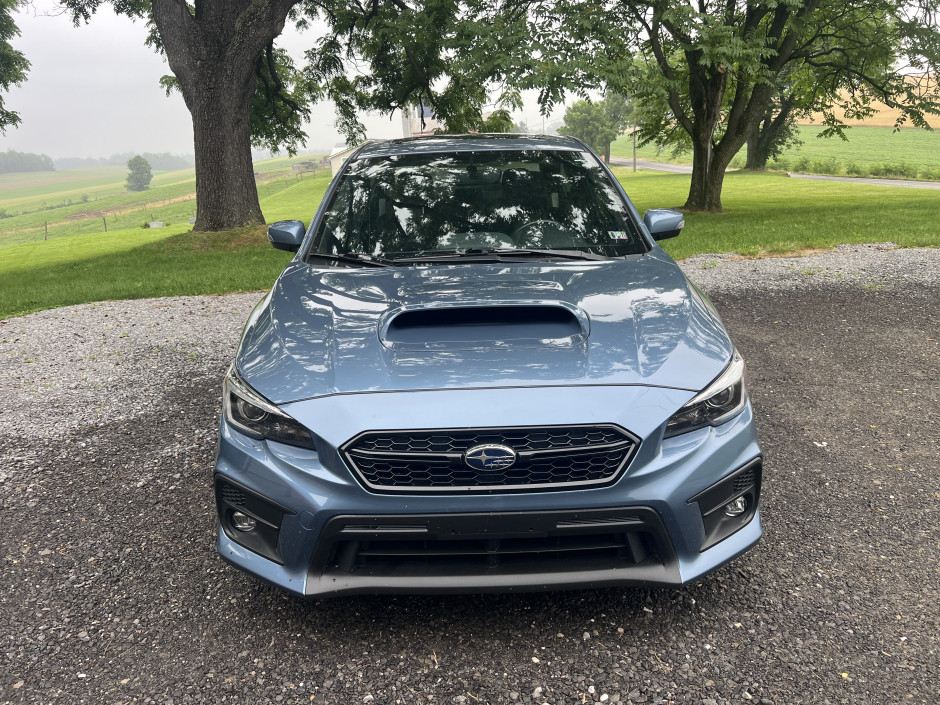 Sue Morris's 2018 Other Limited 50th Anniver