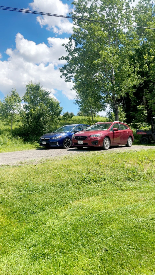 Grace S's 2022 Impreza 2.0i