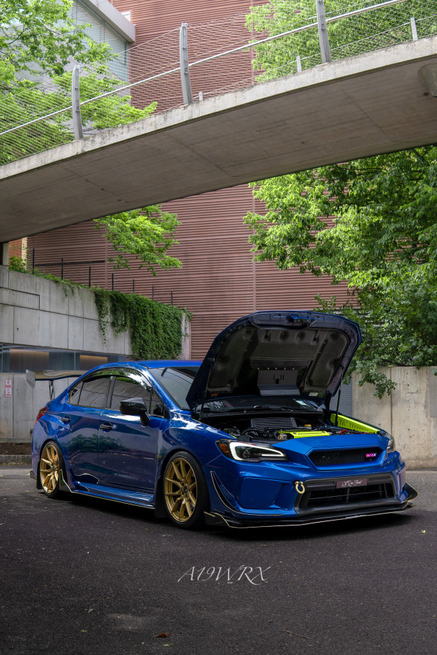 Alan Balbuena's 2019 Impreza WRX Base