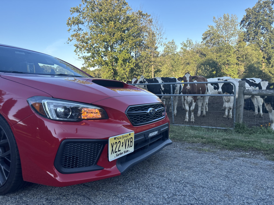 Kamal Khan's 2019 Impreza WRX STI Limited