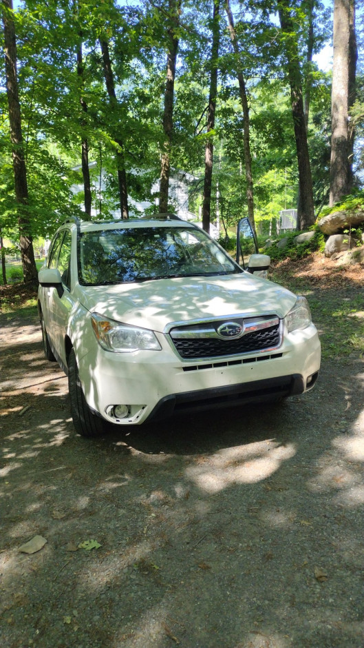 Oli A's 2016 Forester Limited