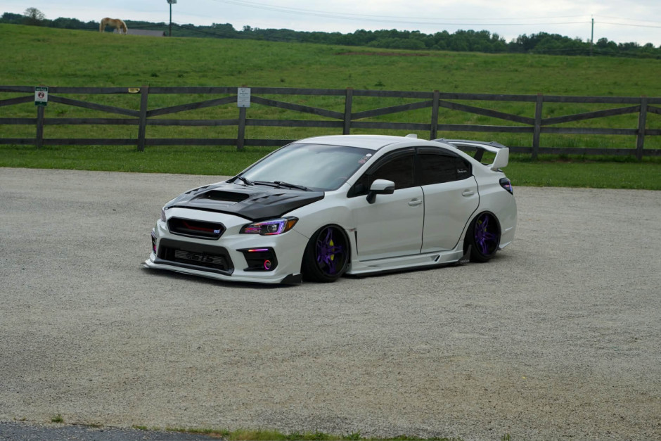 Filabel  H's 2019 WRX STI