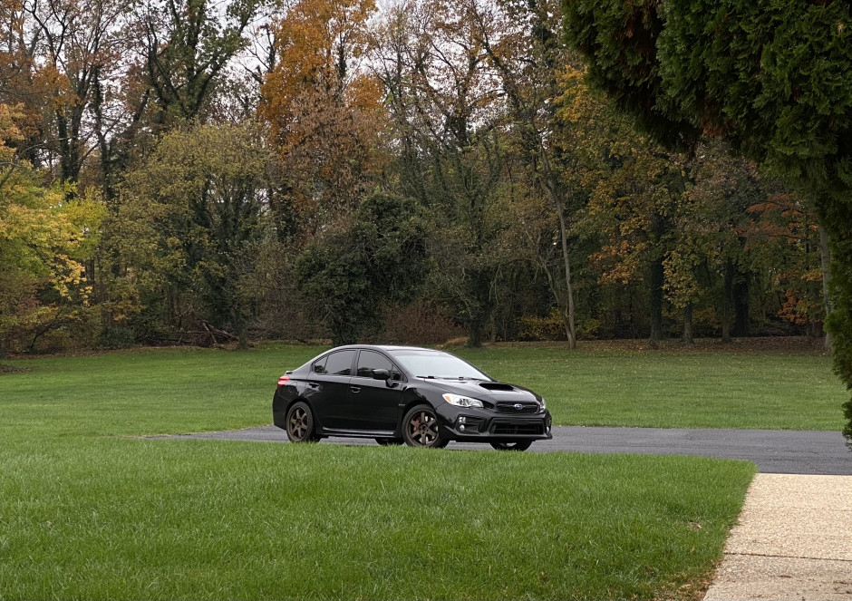 Edgar O's 2020 Impreza WRX 6 SP Premium