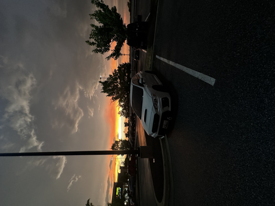 Julio  R's 2019 Impreza WRX Basic 