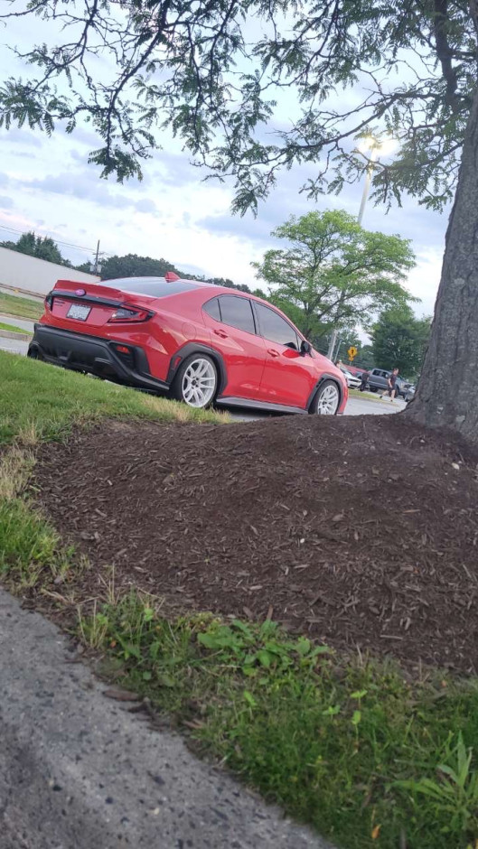 James G's 2025 Impreza WRX Premium 