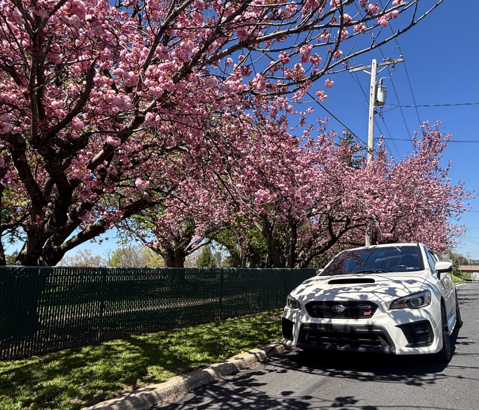 Dakota T's 2020 WRX STI