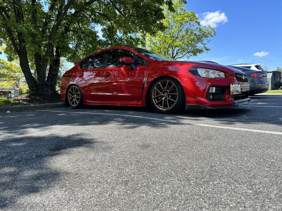 Shaylor B's 2019 Impreza WRX Premium 