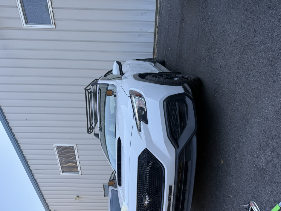 Cain Ferreira's 2023 WRX