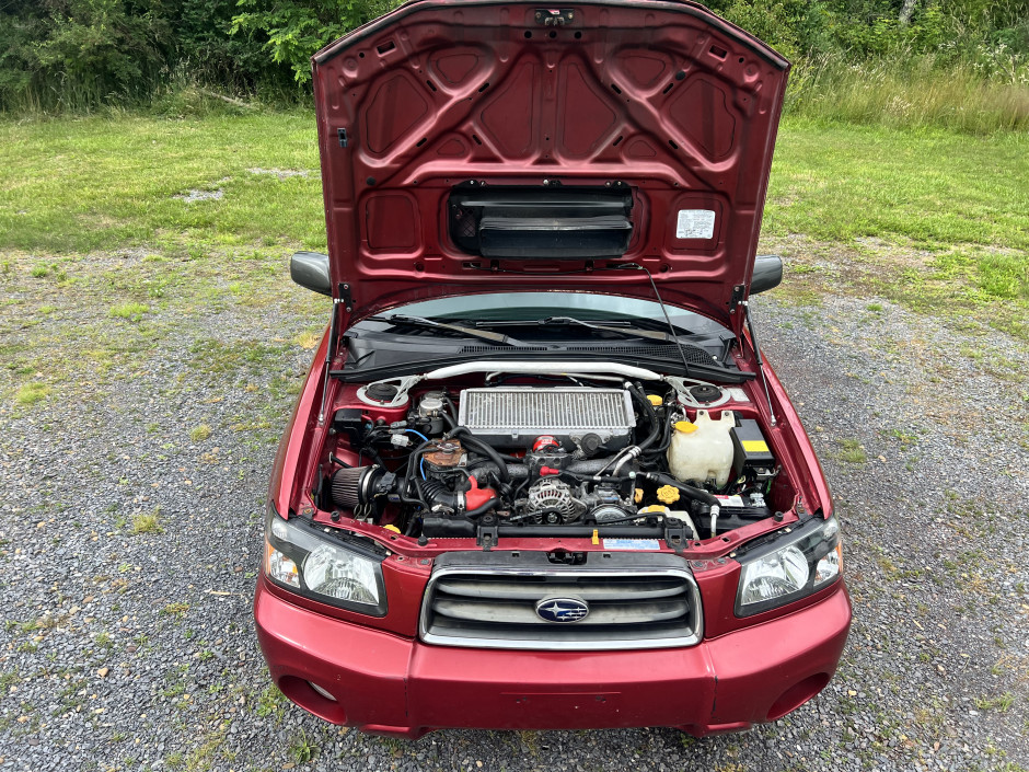 Kody Peacemaker's 2004 Forester Xt limted 