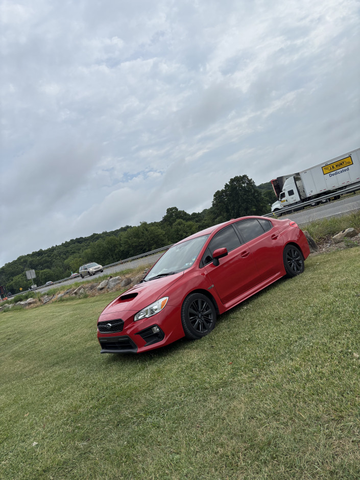 Peter B's 2019 Other 2.0 base wrx