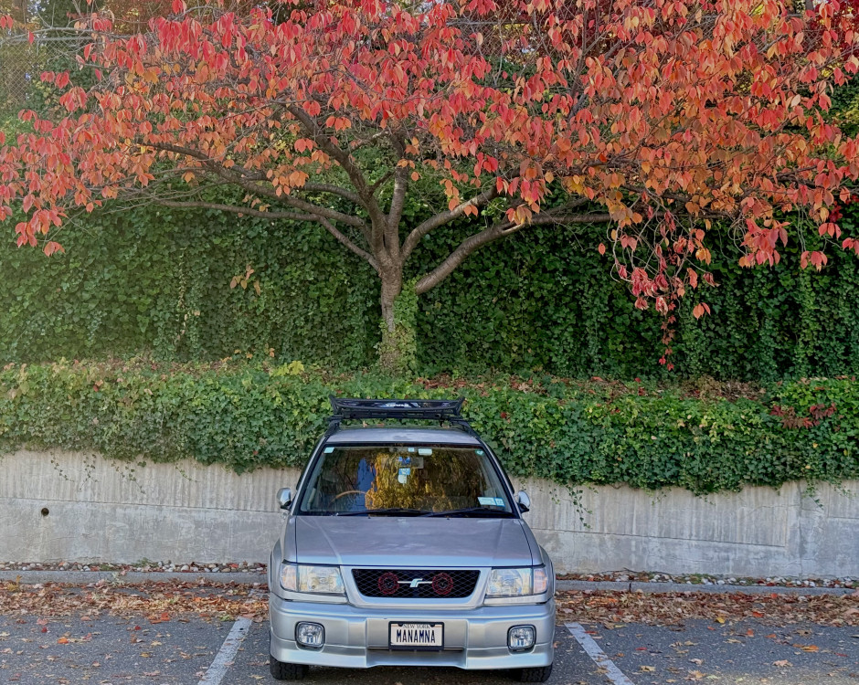 Julio B's 1999 Forester S S20/Limited (JDM RHD)