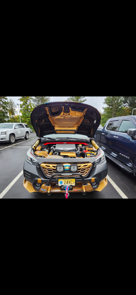 Marlon Hudak's 2022 Outback Wilderness 