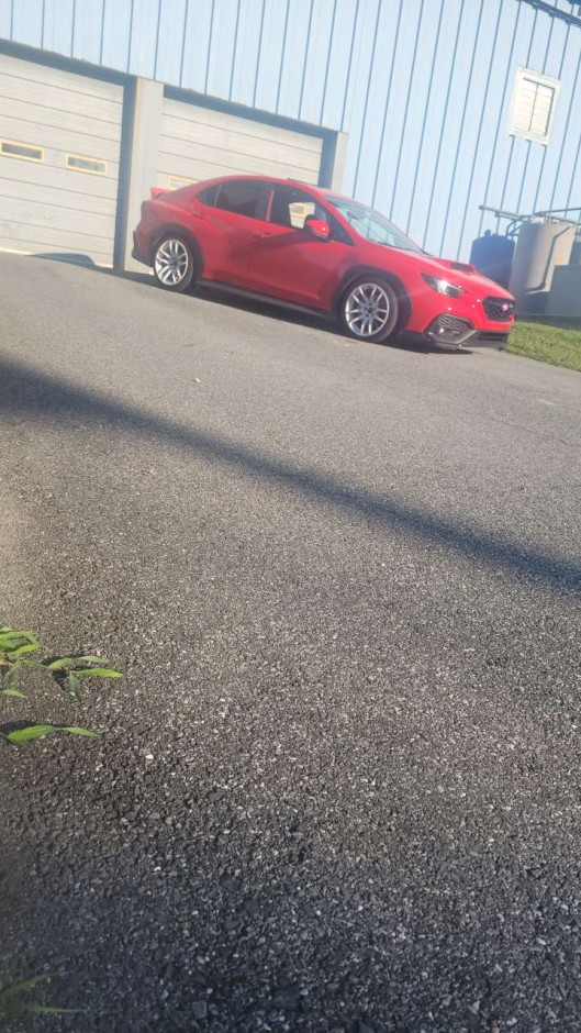 James G's 2025 Impreza WRX Premium 